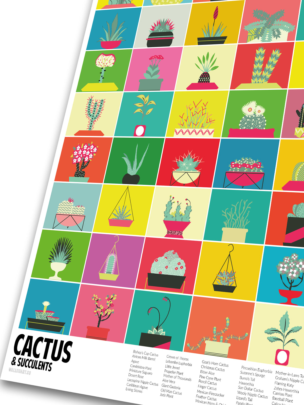 New & Most Popular Prints
