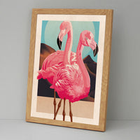 Flamingo Family