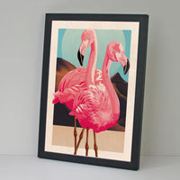 Flamingo Family