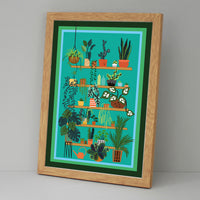 Shelfie (Green)