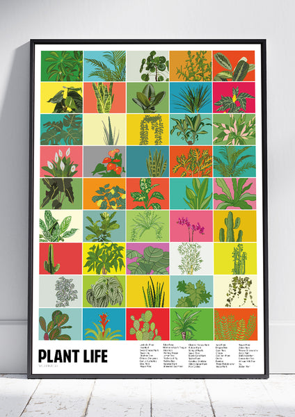 Plant Life Squares