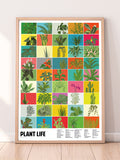 Plant Life Squares